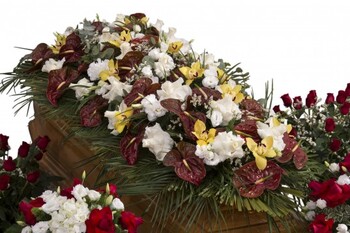 Fiori